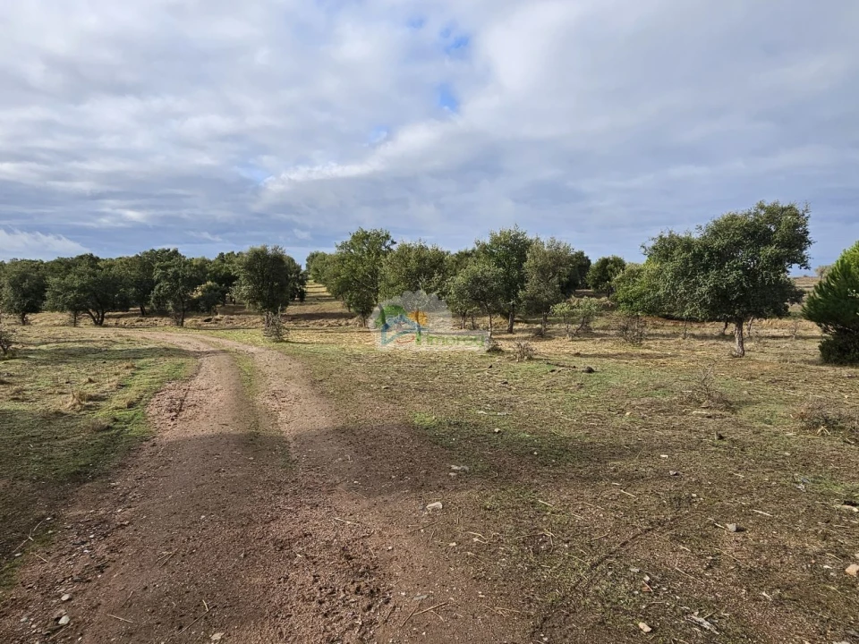 Quinta T2 para Venda em Granja Foto 2