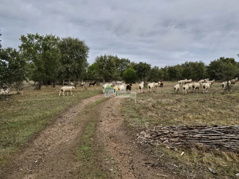 Quinta T2 para Venda em Granja Foto 17