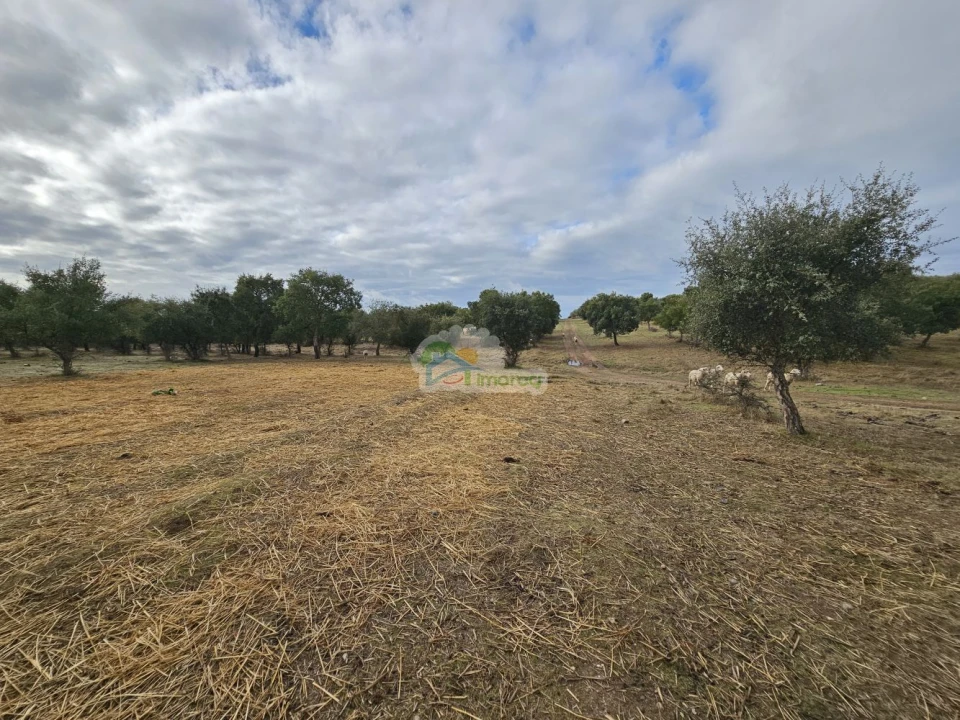 Quinta T2 para Venda em Granja Foto 13