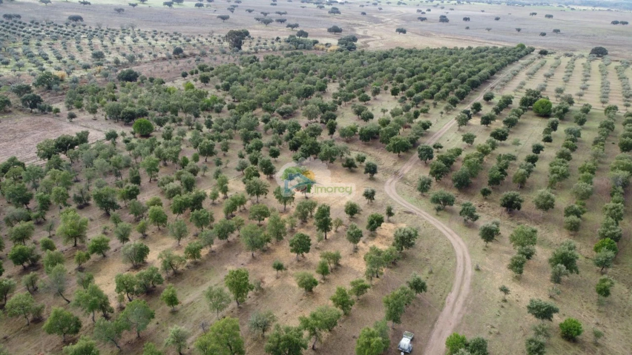 Quinta T2 para Venda em Granja Foto 20