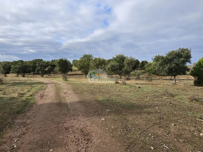 Quinta T2 para Venda em Granja Foto 2