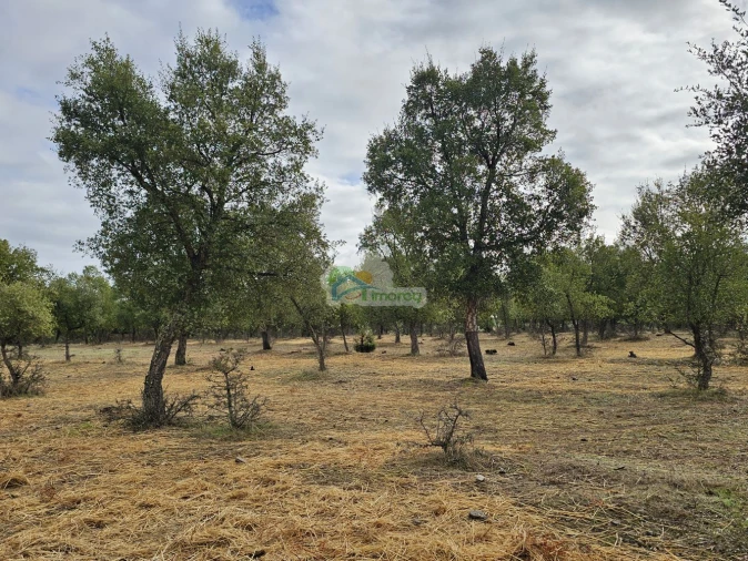 Quinta T2 para Venda em Granja Foto 11