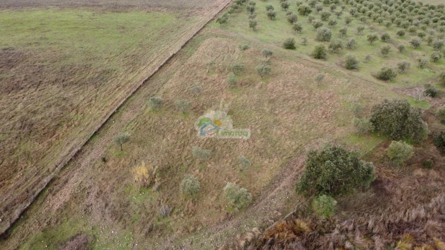 Quinta T2 para Venda em Granja Foto 22