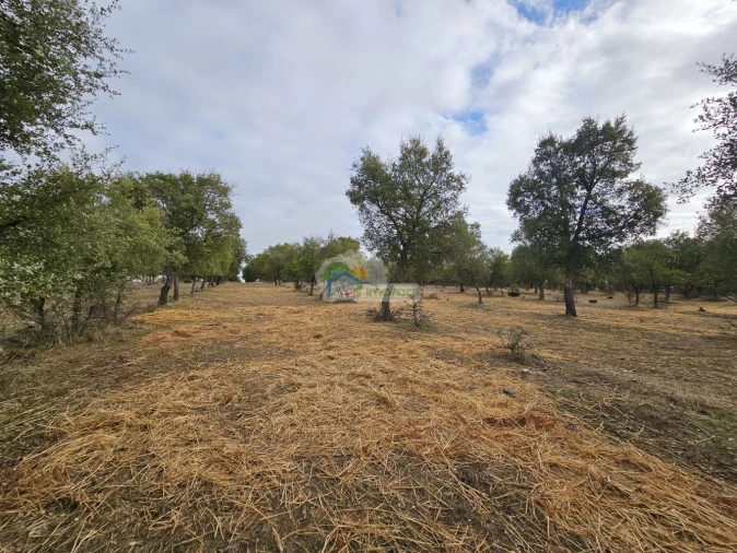 Quinta T2 para Venda em Granja Foto 12