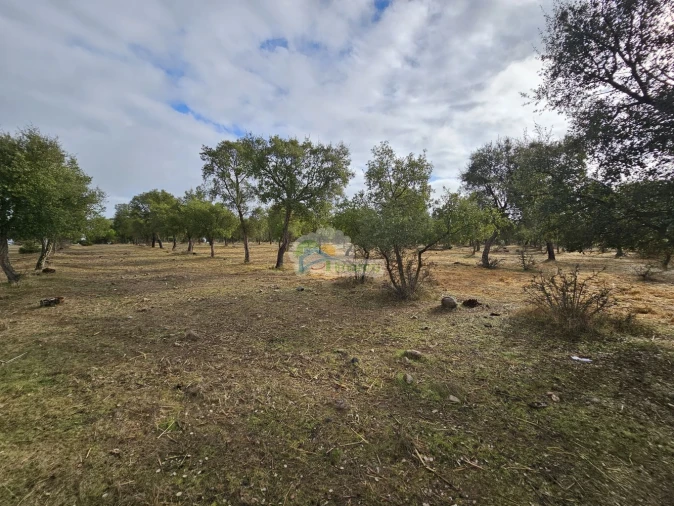 Quinta T2 para Venda em Granja Foto 4