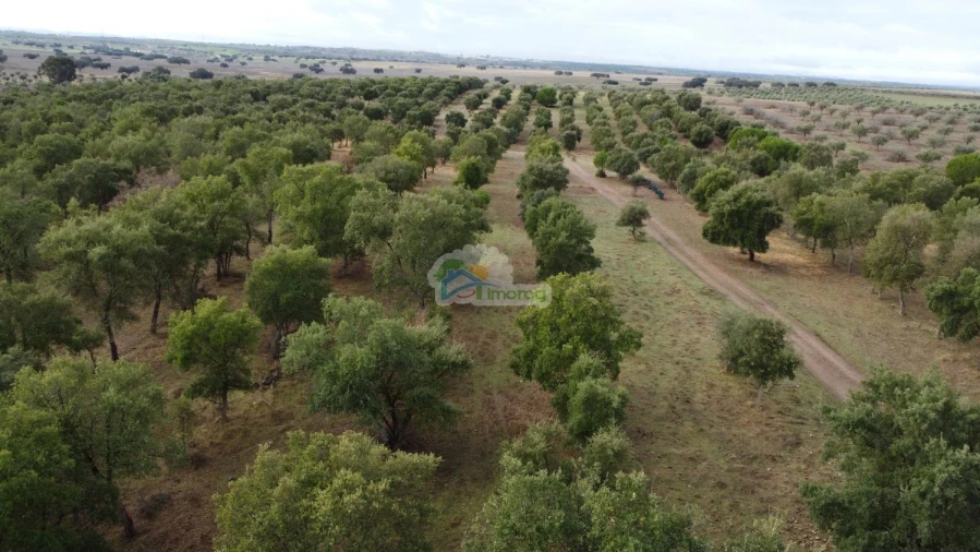 Quinta T2 para Venda em Granja Foto 26