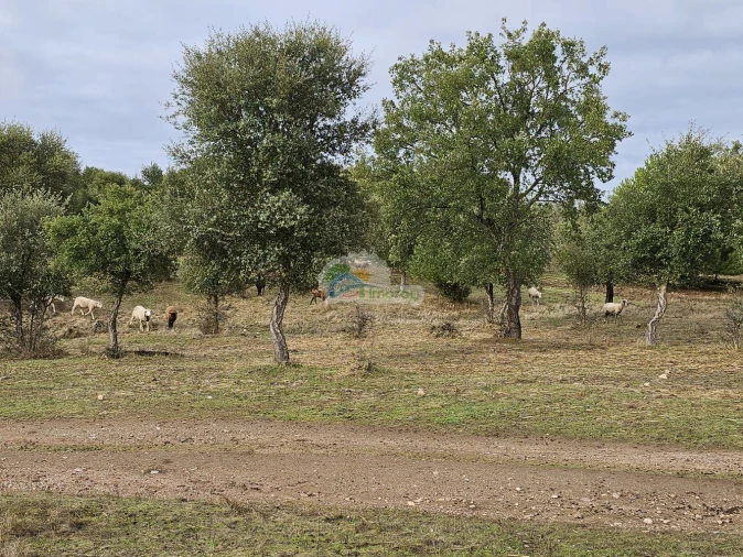 Quinta T2 para Venda em Granja Foto 8