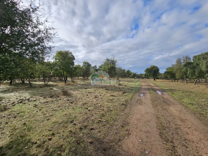 Quinta T2 para Venda em Granja