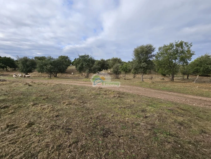 Quinta T2 para Venda em Granja Foto 7