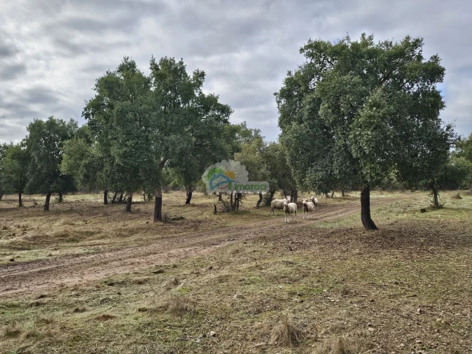 Quinta T2 para Venda em Granja Foto 16