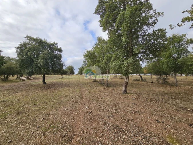 Quinta T2 para Venda em Granja Foto 15