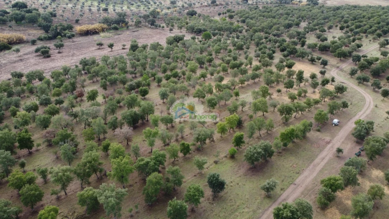 Quinta T2 para Venda em Granja Foto 19