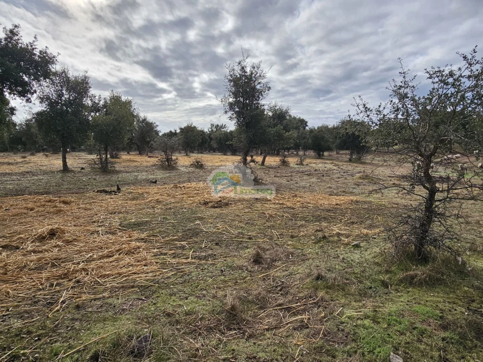 Quinta T2 para Venda em Granja Foto 10