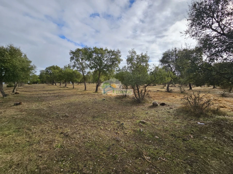 Quinta T2 para Venda em Granja Foto 4