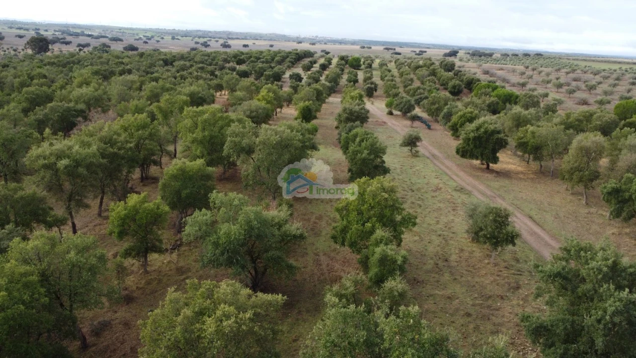 Quinta T2 para Venda em Granja Foto 26