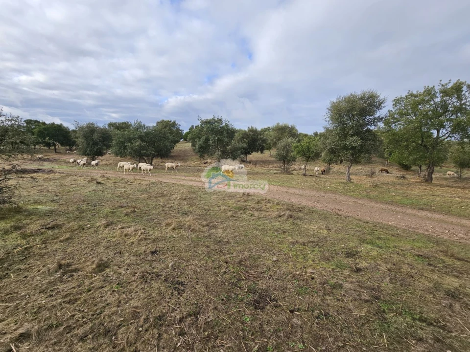 Quinta T2 para Venda em Granja Foto 9