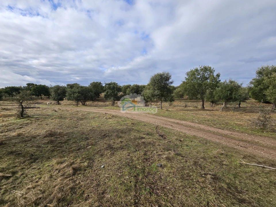 Quinta T2 para Venda em Granja Foto 3