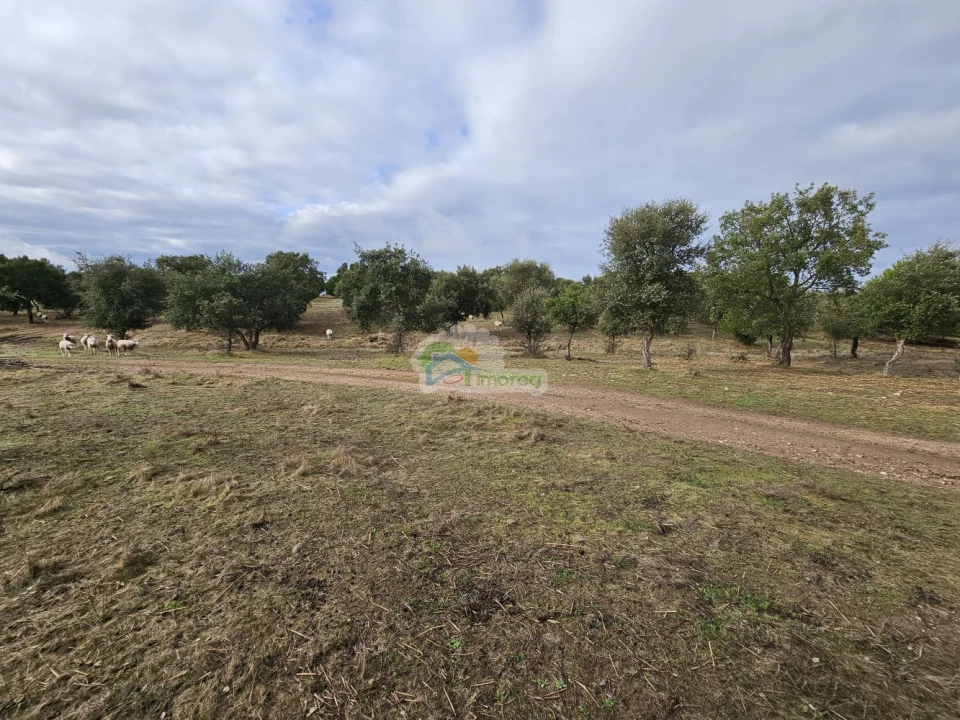 Quinta T2 para Venda em Granja Foto 7