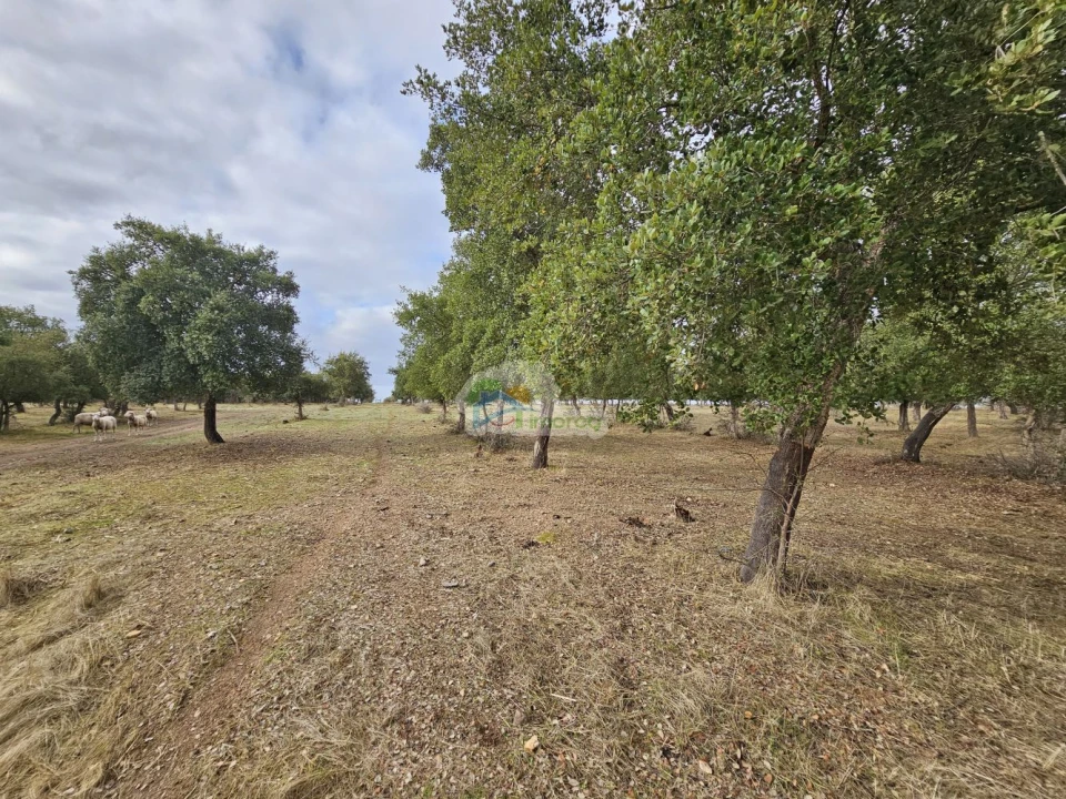 Quinta T2 para Venda em Granja Foto 14