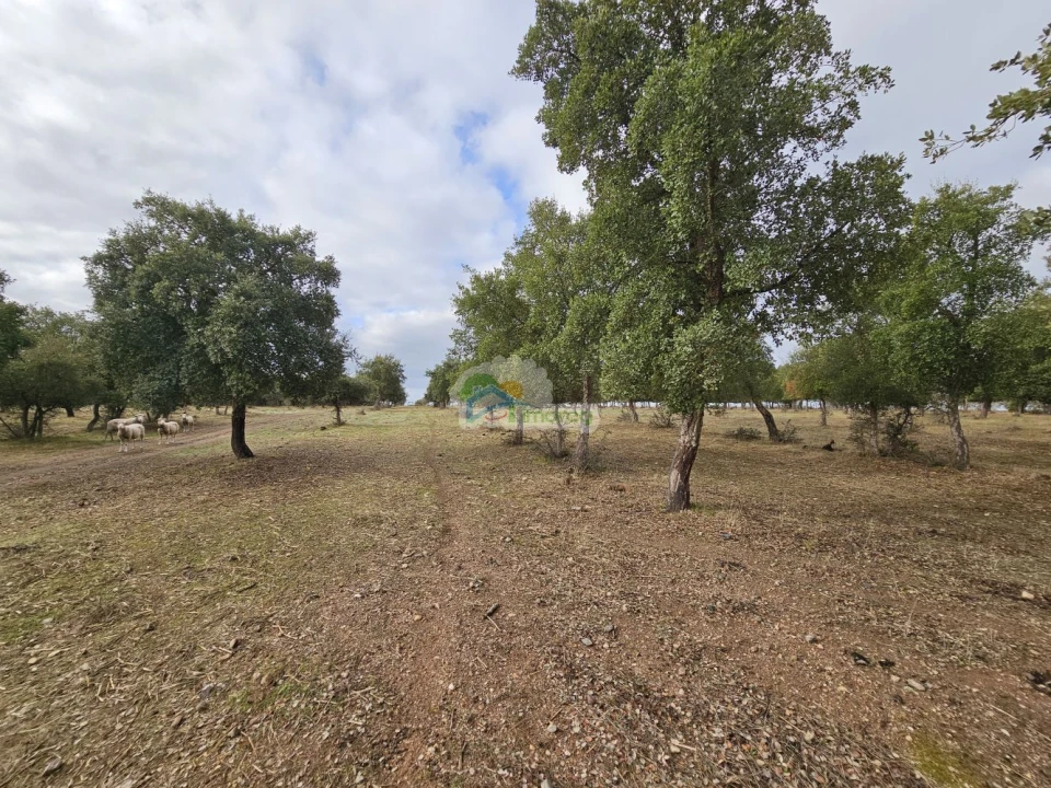 Quinta T2 para Venda em Granja Foto 15