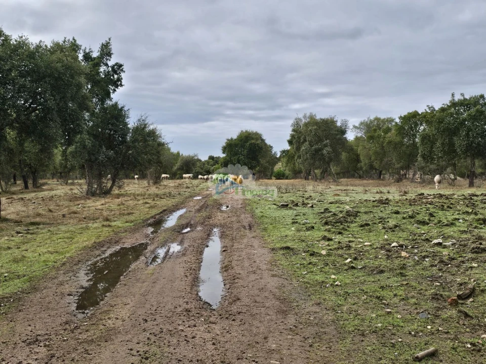 Quinta T2 para Venda em Granja Foto 18