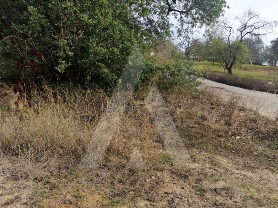 Terreno Agricola ou Rústico para Venda em Loule (São Sebastião) Foto 3