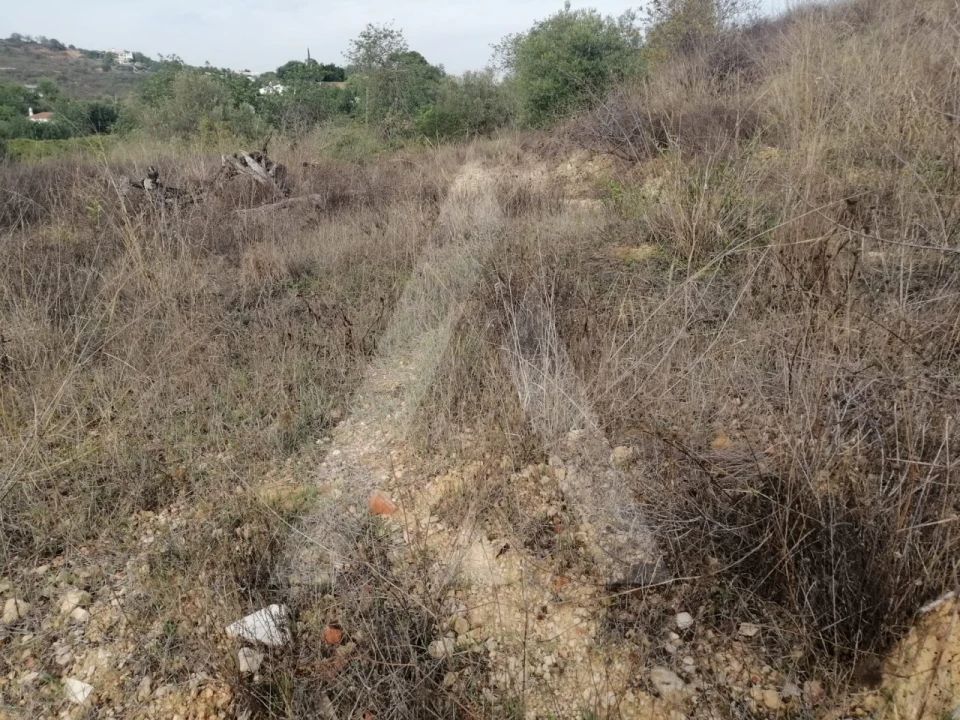 Terreno Agricola ou Rústico para Venda em Loule (São Sebastião) Foto 5
