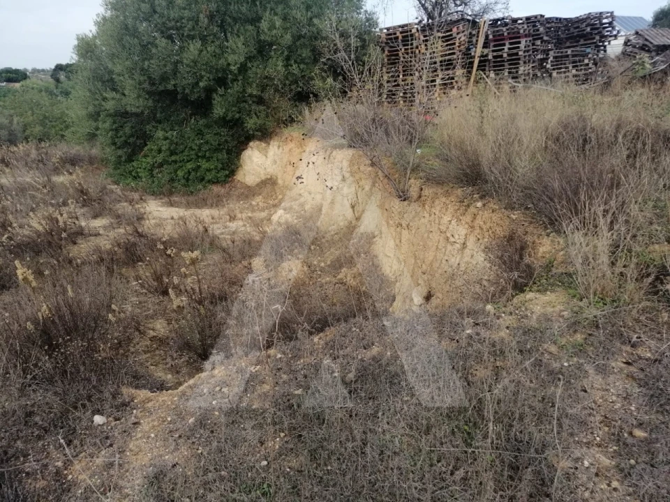 Terreno Agricola ou Rústico para Venda em Loule (São Sebastião) Foto 9