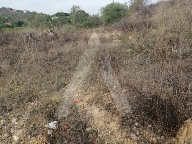 Terreno Agricola ou Rústico para Venda em Loule (São Sebastião) Foto 5