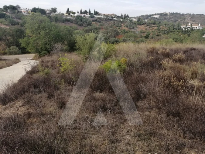 Terreno Agricola ou Rústico para Venda em Loule (São Sebastião) Foto 12
