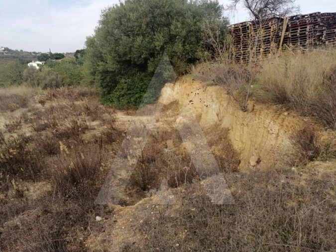 Terreno Agricola ou Rústico para Venda em Loule (São Sebastião) Foto 14