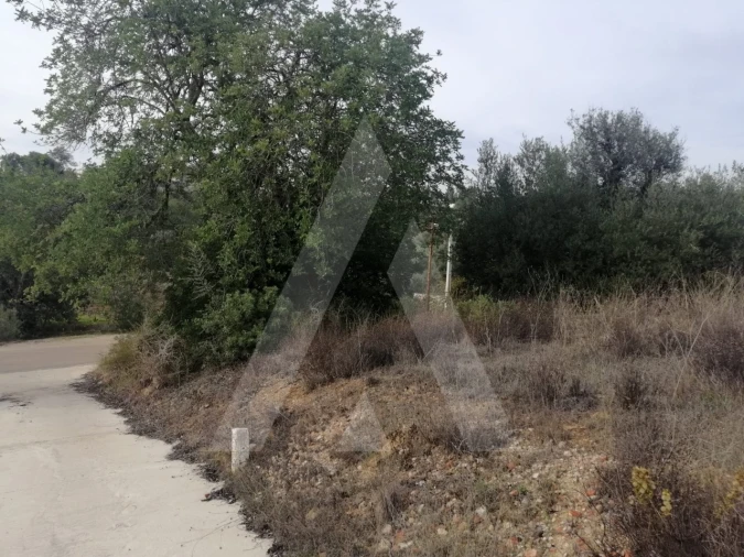 Terreno Agricola ou Rústico para Venda em Loule (São Sebastião) Foto 17