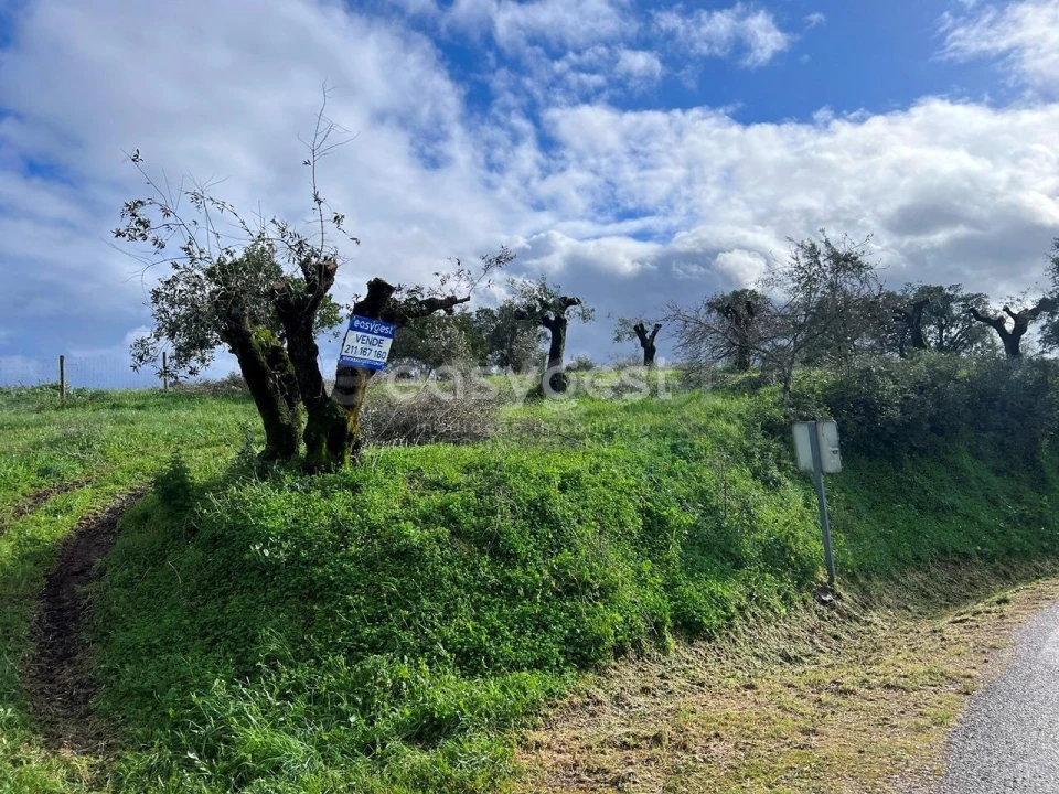 Terreno Agricola ou Rústico para Venda em Casais e Alviobeira Foto 1
