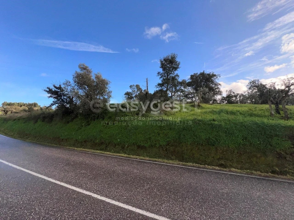 Terreno Agricola ou Rústico para Venda em Casais e Alviobeira Foto 2