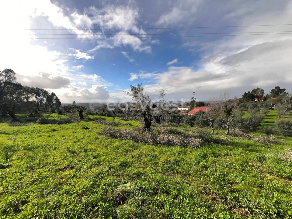Terreno Agricola ou Rústico para Venda em Casais e Alviobeira Foto 11