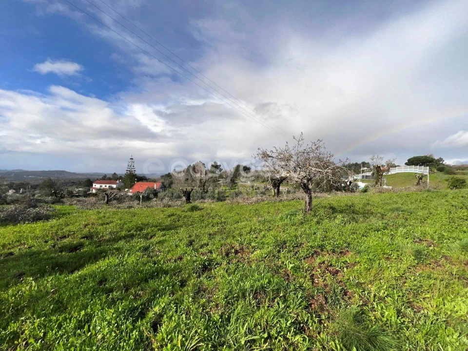 Terreno Agricola ou Rústico para Venda em Casais e Alviobeira Foto 16
