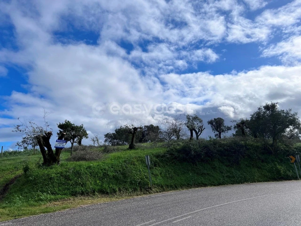 Terreno Agricola ou Rústico para Venda em Casais e Alviobeira Foto 19