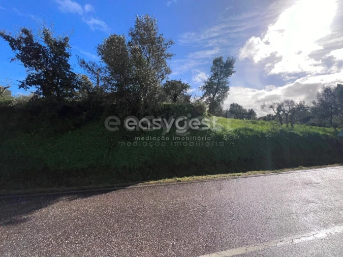 Terreno Agricola ou Rústico para Venda em Casais e Alviobeira Foto 3