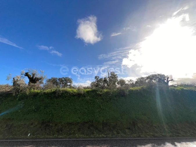 Terreno Agricola ou Rústico para Venda em Casais e Alviobeira Foto 4