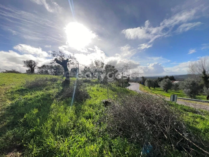 Terreno Agricola ou Rústico para Venda em Casais e Alviobeira Foto 7