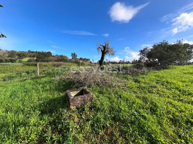 Terreno Agricola ou Rústico para Venda em Casais e Alviobeira Foto 8