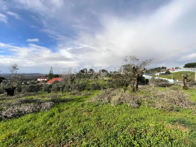 Terreno Agricola ou Rústico para Venda em Casais e Alviobeira Foto 12