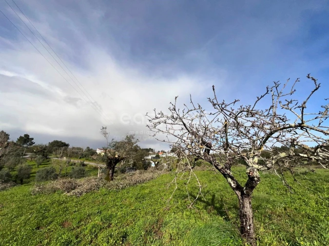 Terreno Agricola ou Rústico para Venda em Casais e Alviobeira Foto 14