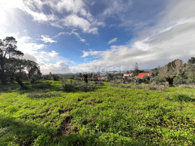 Terreno Agricola ou Rústico para Venda em Casais e Alviobeira Foto 15