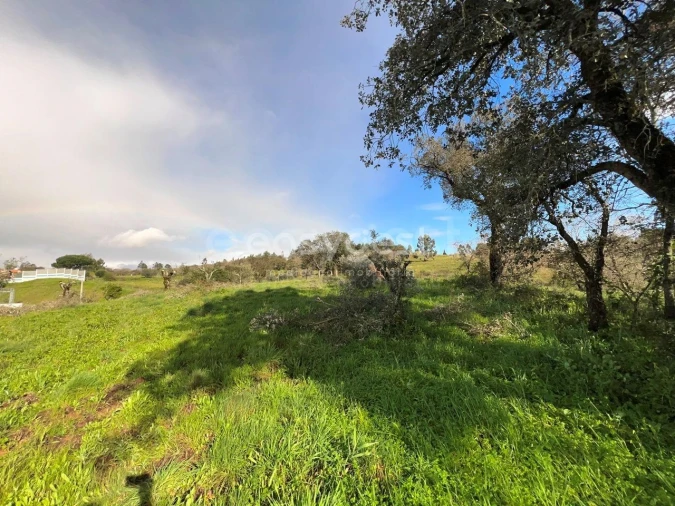 Terreno Agricola ou Rústico para Venda em Casais e Alviobeira Foto 17