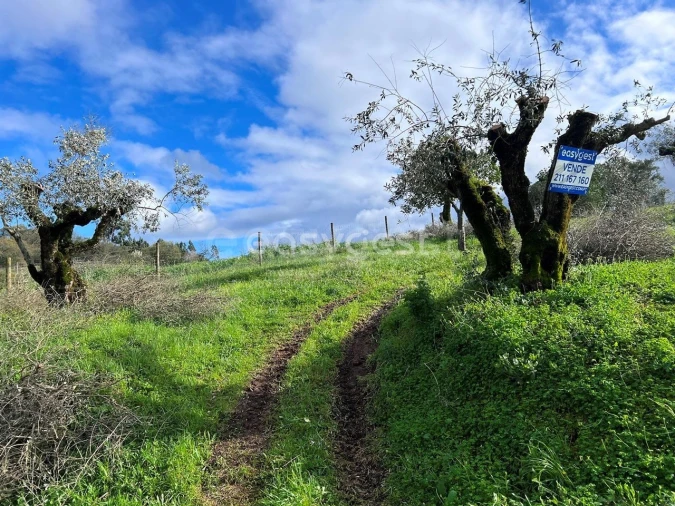 Terreno Agricola ou Rústico para Venda em Casais e Alviobeira Foto 18