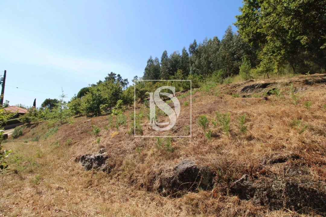 Terreno Agricola ou Rústico para Venda em Salvador do Monte Foto 4