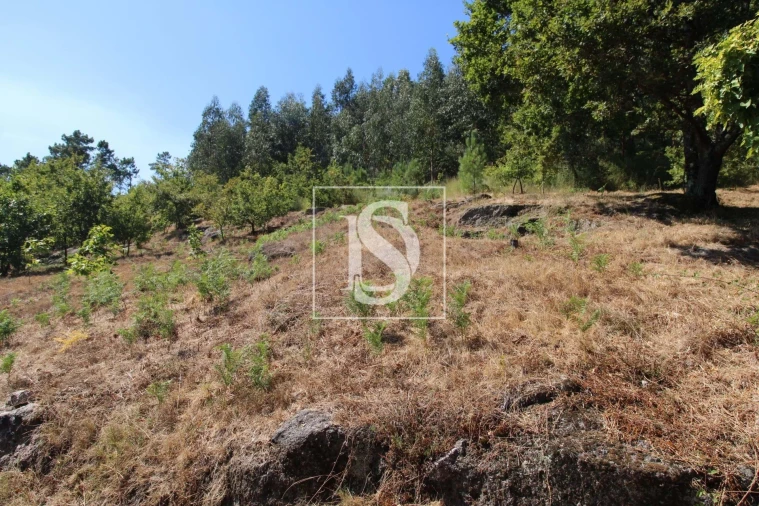 Terreno Agricola ou Rústico para Venda em Salvador do Monte Foto 3