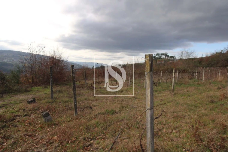 Terreno Agricola ou Rústico para Venda em Salvador do Monte Foto 16