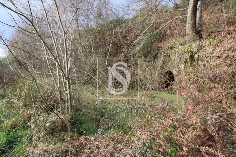 Terreno Agricola ou Rústico para Venda em Salvador do Monte Foto 3